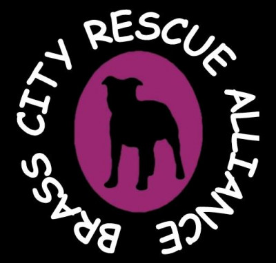 Brass City Rescue Alliance - Pet Shelter and Rescue in Middlebury, Connecticut