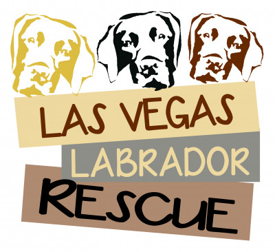 Las Vegas Labrador Rescue - Pet Shelter and Rescue in Las Vegas, Nevada
