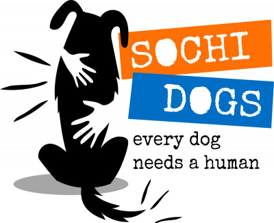 Friends Of Sochi Dogs - Pet Shelter and Rescue in Morristown, New Jersey
