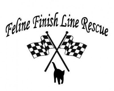 Feline Finish Line - Pet Shelter and Rescue in Catasauqua, Pennsylvania