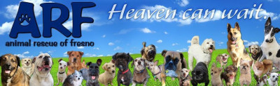 Animal Rescue Of Fresno - Pet Shelter and Rescue in Fresno, California