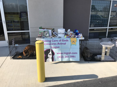 TCGC Animal League - Pet Shelter and Rescue in Kingsport, Tennessee