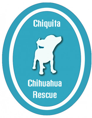 Chiquita Chihuahua Rescue - Pet Shelter and Rescue in Phoenix, Arizona