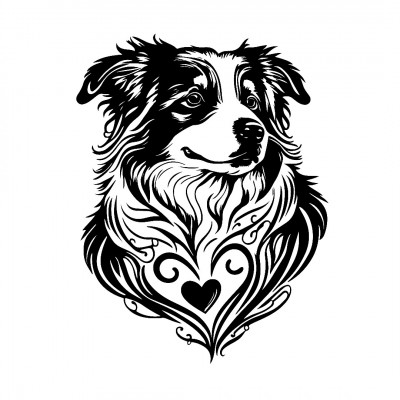 Zia Australian Shepherd Rescue - Pet Shelter and Rescue in Albuquerque, New Mexico