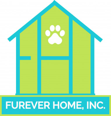FurEver Home Inc - Pet Shelter and Rescue in Fremont, Nebraska