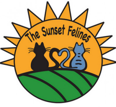 The Sunset Felines - Pet Shelter and Rescue in West Columbia, South Carolina