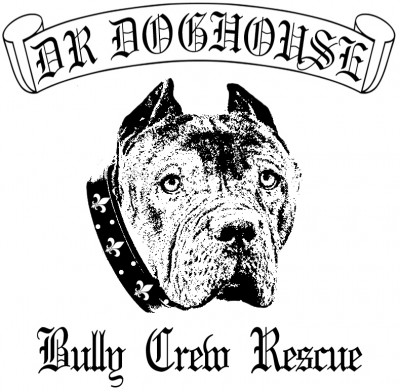 DR Doghouse Bully Crew Rescue  - Pet Shelter and Rescue in Los Angeles, California
