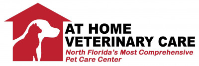 At Home Veterinary Care - Pet Shelter and Rescue in Tallahassee, Florida