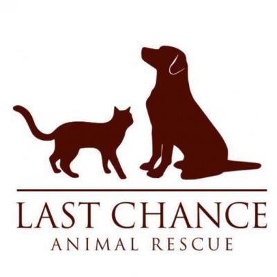 Last Chance Animal Rescue - Pet Shelter and Rescue in Holbrook, New York