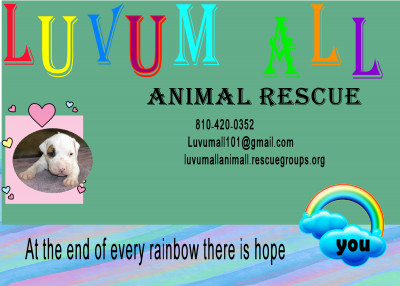 Luvum All Animal Rescue - Pet Shelter and Rescue in Marine City, Michigan