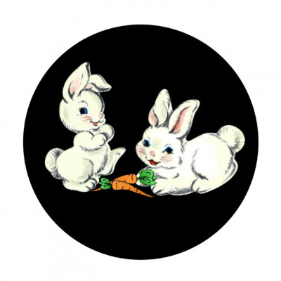 Second Chance Bunnies, Inc - Pet Shelter and Rescue in Auburn, California