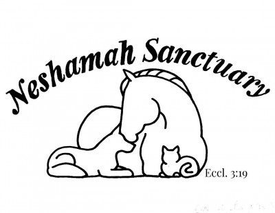 HearthFire Keep, Inc, Dba Neshamah Sanctuary - Pet Shelter and Rescue in Byers, Colorado