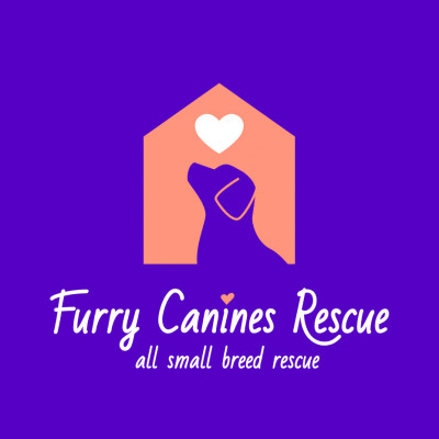 Furry Canines Rescue - Pet Shelter and Rescue in Fullerton, California