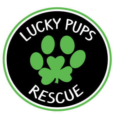 Lucky Pups Rescue, Inc. - Pet Shelter and Rescue in Brazil, Indiana