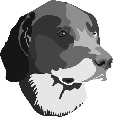 Kentucky Animal Relief Fund, Inc. - Pet Shelter and Rescue in PLEASURE RDGE, Kentucky