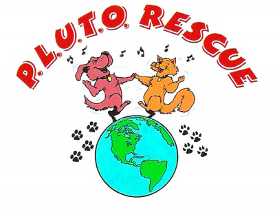 P.L.U.T.O. (Pet Lovers United Together As One) - Pet Shelter and Rescue