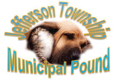 Jefferson Township Municipal Pound - Pet Shelter and Rescue in Jefferson, New Jersey
