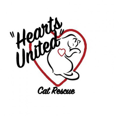Hearts United Cat Rescue - Pet Shelter and Rescue in Rocky Hill, Connecticut