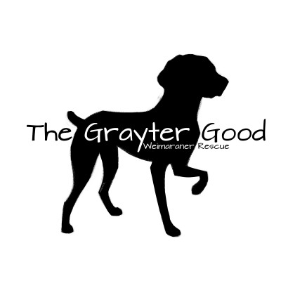 The Grayter Good Weimaraner Rescue - Pet Shelter and Rescue in Hoboken, New Jersey