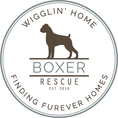 Wigglin Home Boxer Rescue - Pet Shelter and Rescue in Battle Ground, Washington