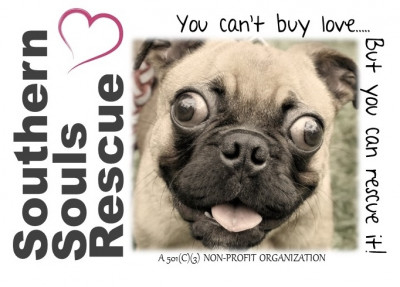 Southern Souls Rescue - Pet Shelter and Rescue in Harlem, Georgia