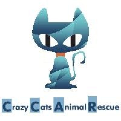 Crazy Cats Animal Rescue - Pet Shelter and Rescue in Cincinnati, Ohio