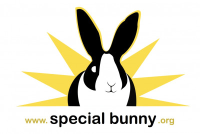 Special Bunny - Pet Shelter and Rescue in Seattle, Washington