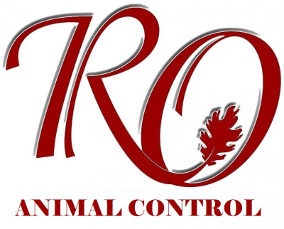 City Of Red Oak Animal Shelter - Pet Shelter and Rescue in Red Oak, Texas