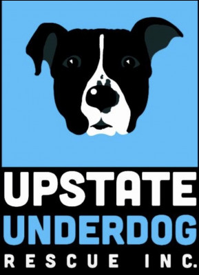 Upstate Underdog Rescue - Pet Shelter and Rescue in Troy, New York