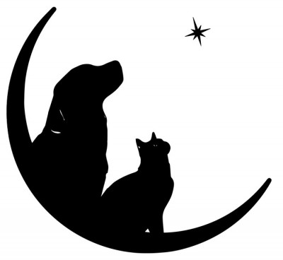 Hallie Hill Animal Sanctuary - Pet Shelter and Rescue in Hollywood, South Carolina