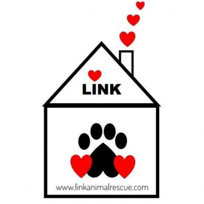 LINK Animal Rescue - Pet Shelter and Rescue in Lebanon, Ohio