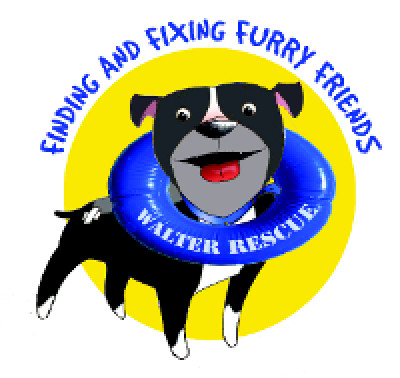Walter Rescue - Pet Shelter and Rescue in Pikesville, Maryland