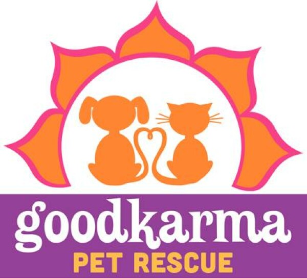 Animals for adoption at Good Karma Pet Rescue, Inc. in Fort Lauderdale