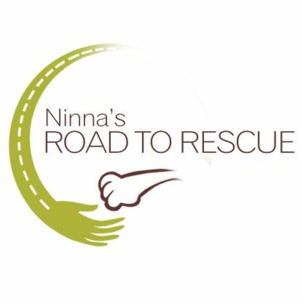 Animals for adoption at Ninna's Road To Rescue in Benton, Louisiana