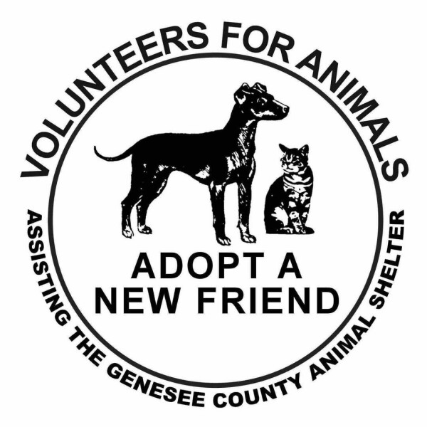 Animals for adoption at Volunteers For Animals / Genesee County Animal