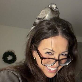 Levitas (local Midwest adoption only) -  Pigeon Bird for Adoption in Chicago, Illinois - Levitas (local Midwest Adoption Only) | PetCurious