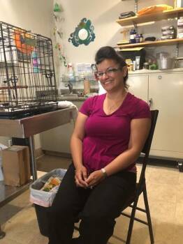 Macaw Birds Available for Adoption in Elizabeth, Colorado - Jack | PetCurious