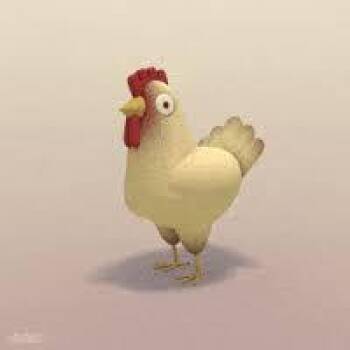 Magoo- save draft multi loc -  Chicken Bird for Adoption in Bettles, Alaska - Magoo- Save Draft Multi Loc | PetCurious