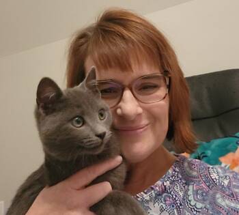 Domestic Short Hair Cats Available for Adoption - Loris26 | PetCurious