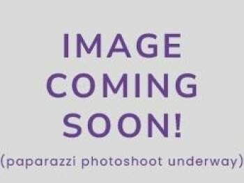 Torbie and Domestic Short Hair Cats Available for Adoption in Raleigh, North Carolina - Layton | PetCurious