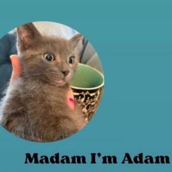 Madam I