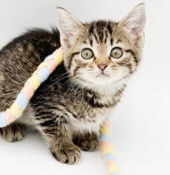 May might be tiny but she