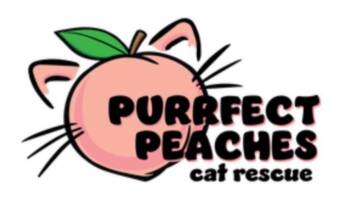 Rescue Nebelung and Domestic Long Hair Cats for Adoption in Douglasville, Georgia - Byron Dewar | PetCurious