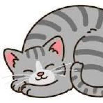 Abigail Adams -  Domestic Short Hair Cat for Adoption in West Olive, Michigan - Abigail Adams | PetCurious