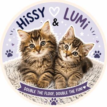 LUMI & HISSY -  Domestic Long Hair and Maine Coon Cat Available for Adoption in Lakesite, Tennessee - LUMI & HISSY | PetCurious