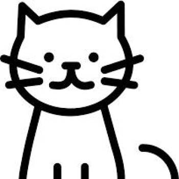 Domestic Short Hair Cats Available for Adoption - Domino | PetCurious