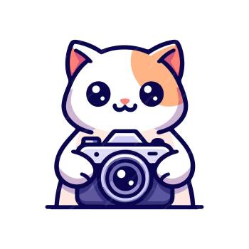 Domestic Short Hair Cats Available for Adoption - Oak [Spicy Kitty] | PetCurious