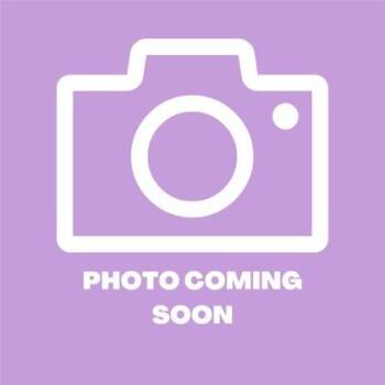 Domestic Long Hair Cats Available for Adoption - 60632498 | PetCurious