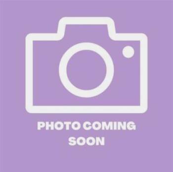 Domestic Medium Hair Cats Available for Adoption in El Paso, Texas - 61052600 | PetCurious