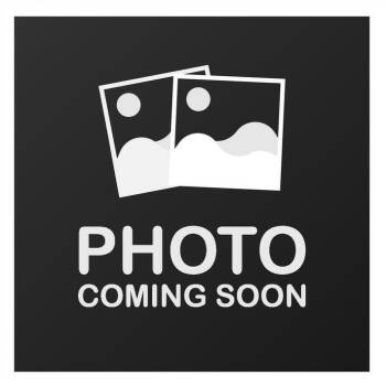 Margarita -  Domestic Short Hair Cat Available for Adoption in Richboro, Pennsylvania - Margarita | PetCurious